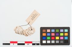 Foto von Perlenkette (NHMW-PRAE-023956)